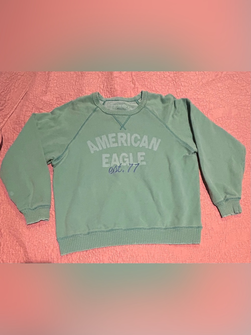 American Eagle Outfitters Mint Green Crewneck Sweatshirt